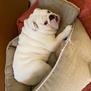 Meet your Posher, Alejandro